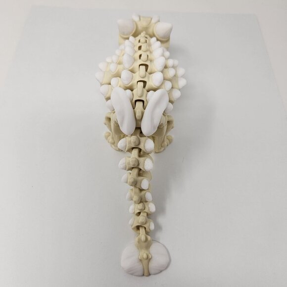 Ankylosaurus Dinosaur Skeleton 3D Printed Articulated Flexi Factory Fig 9" x 3" - Picture 4 of 7